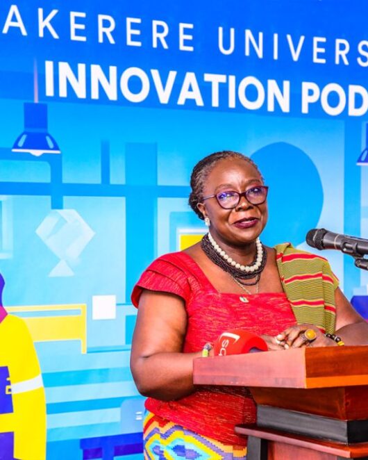 Elsie-Makerere-University-Innovation-Pod-commissioned-9th-January-2024-1024x683-2